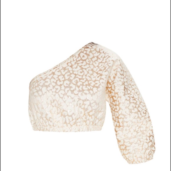 ❌SOLD ON MY CURTSY ❌ PLT Gold Cheetah Two Piece - Picture 2 of 11